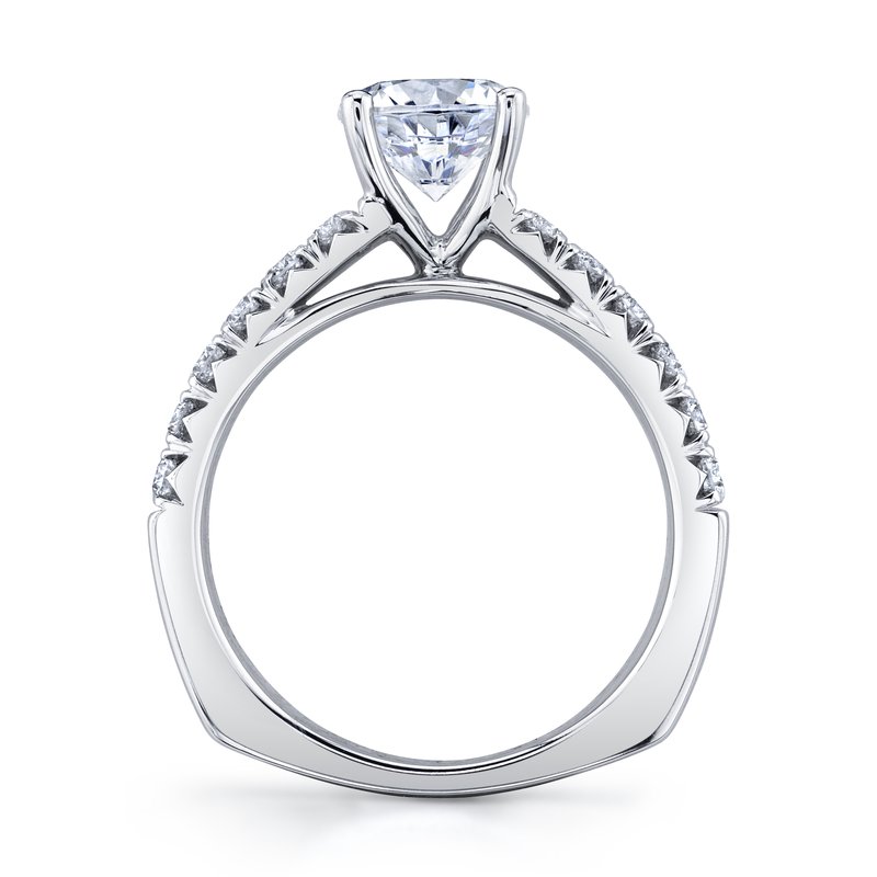 14k White Gold Two-Row Engagement Ring Set With 3.00 CRT Round Brilliant Cut Lab-Grown Diamond